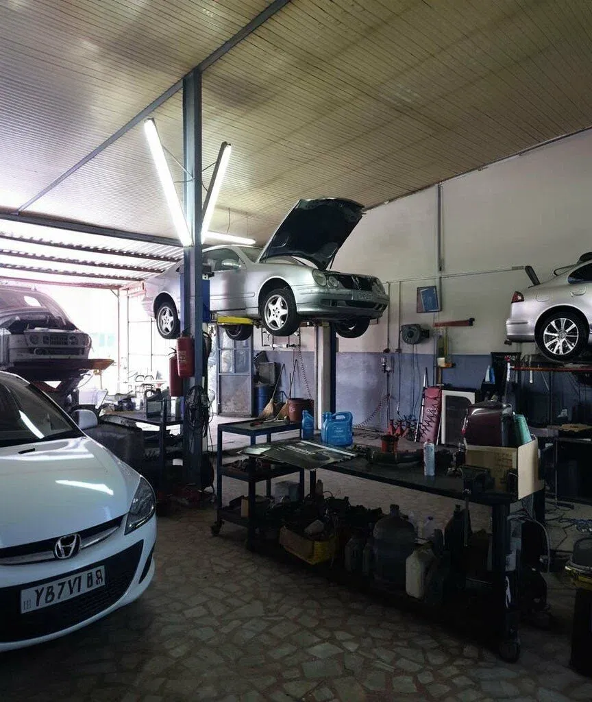 Edimer Motorlu Araçlar